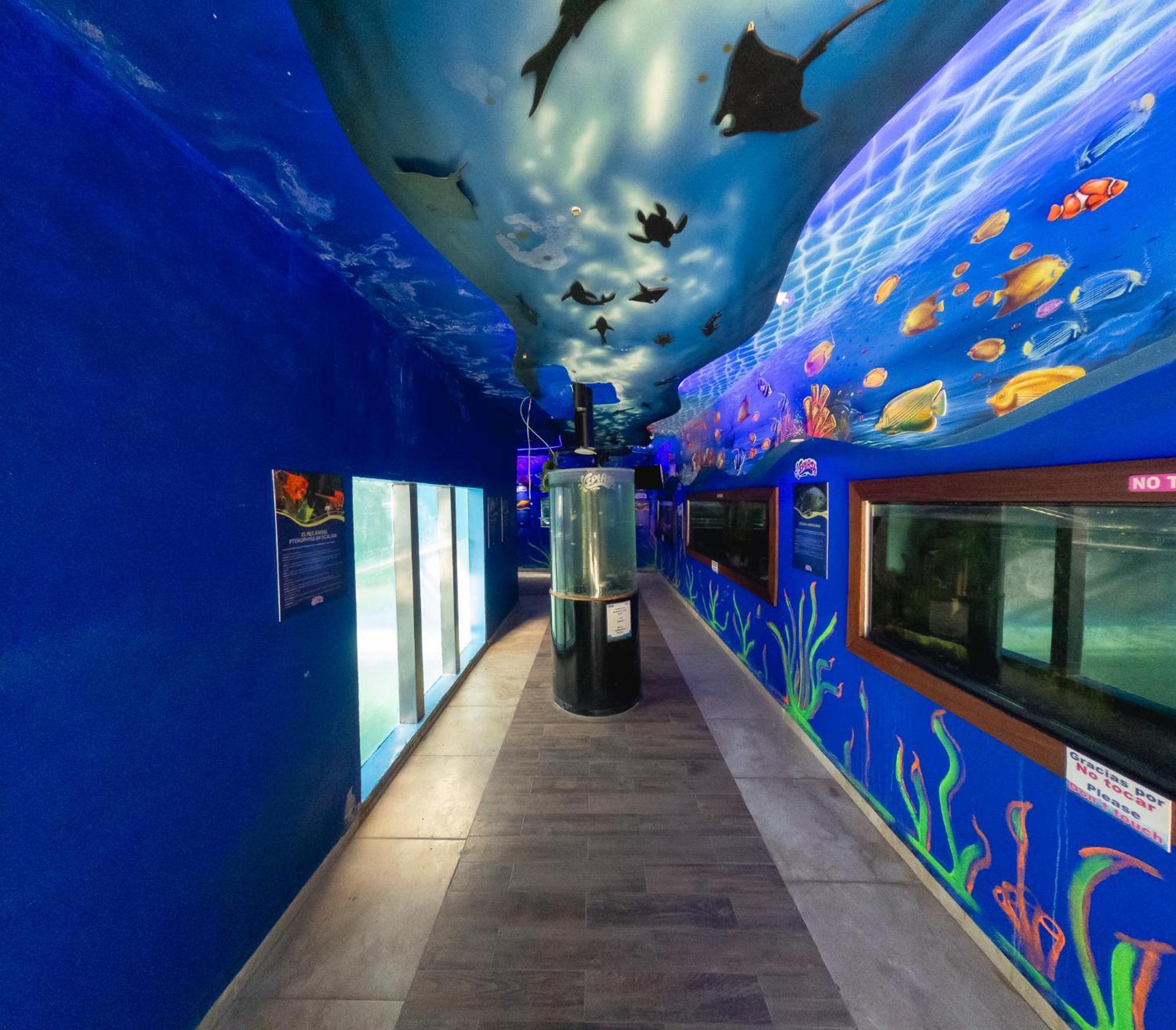 Splash Inn Nuevo Vallarta & Parque Acuatico Ngoại thất bức ảnh