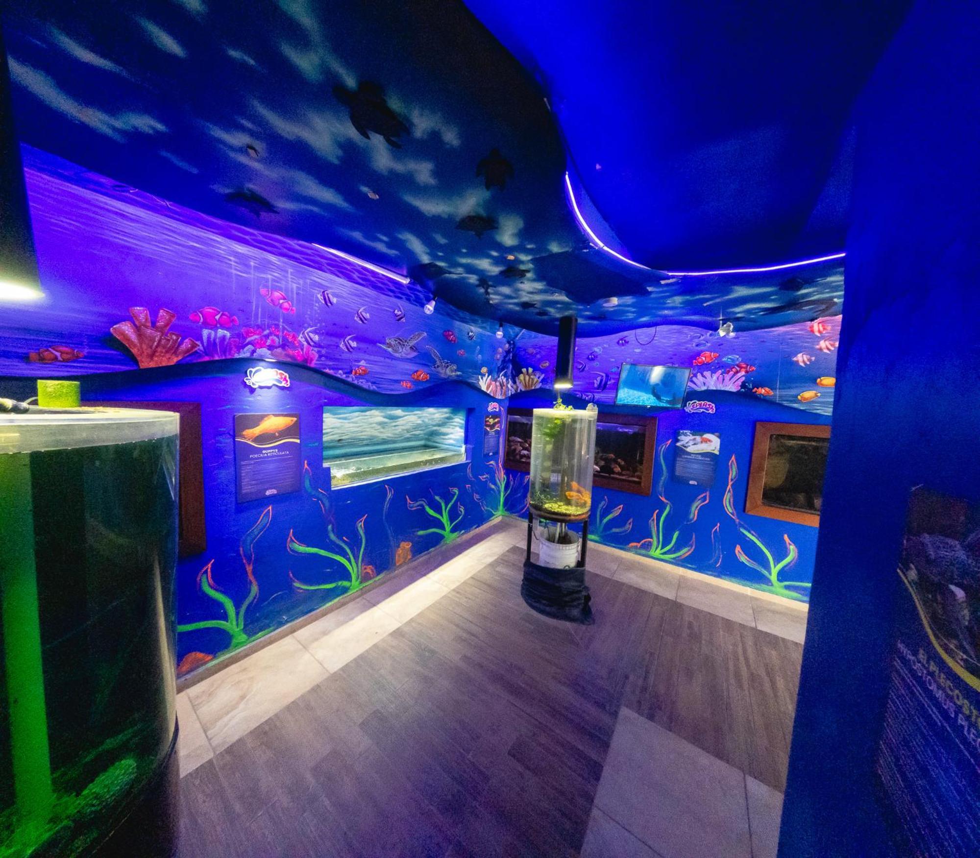 Splash Inn Nuevo Vallarta & Parque Acuatico Ngoại thất bức ảnh