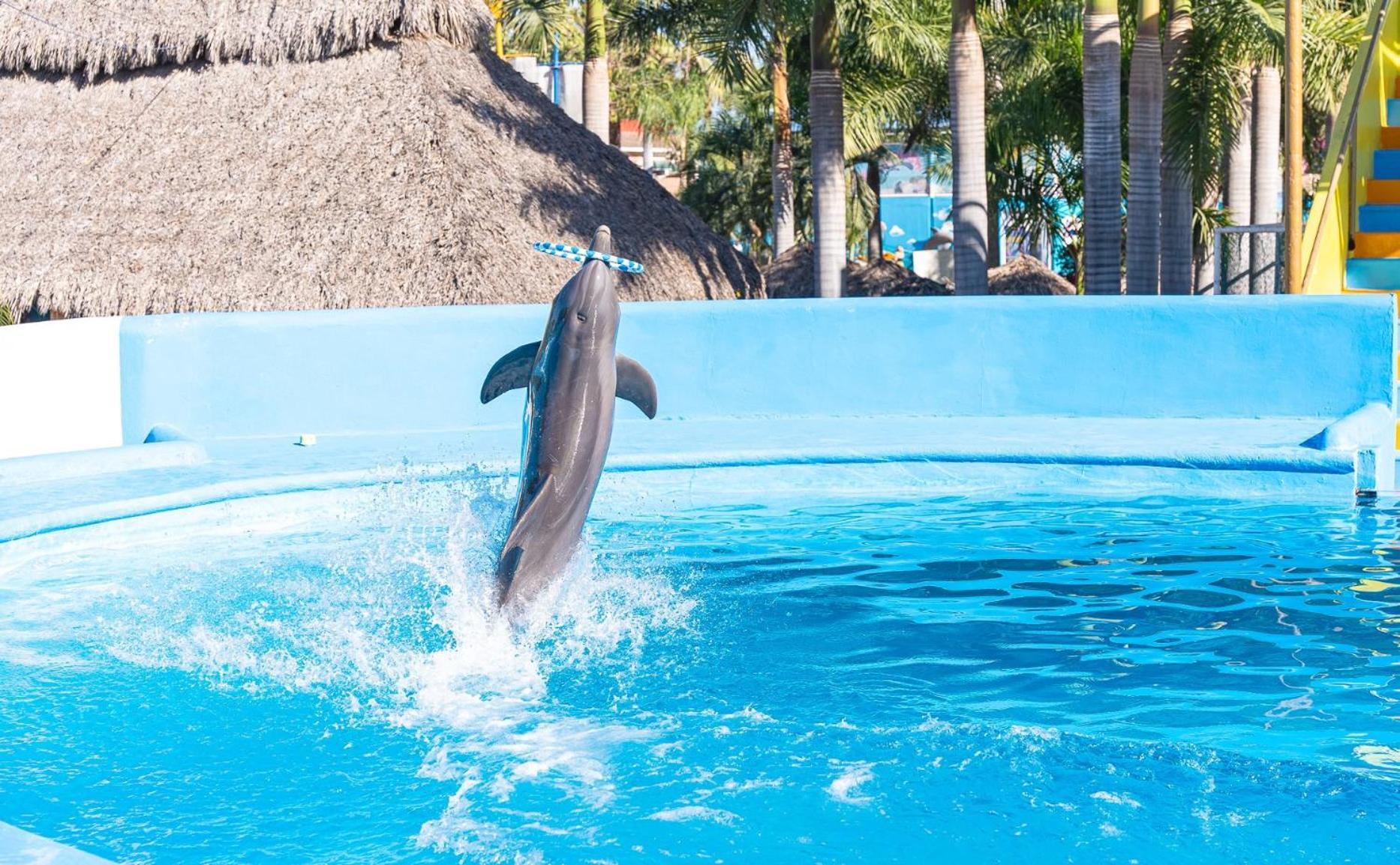 Splash Inn Nuevo Vallarta & Parque Acuatico Ngoại thất bức ảnh
